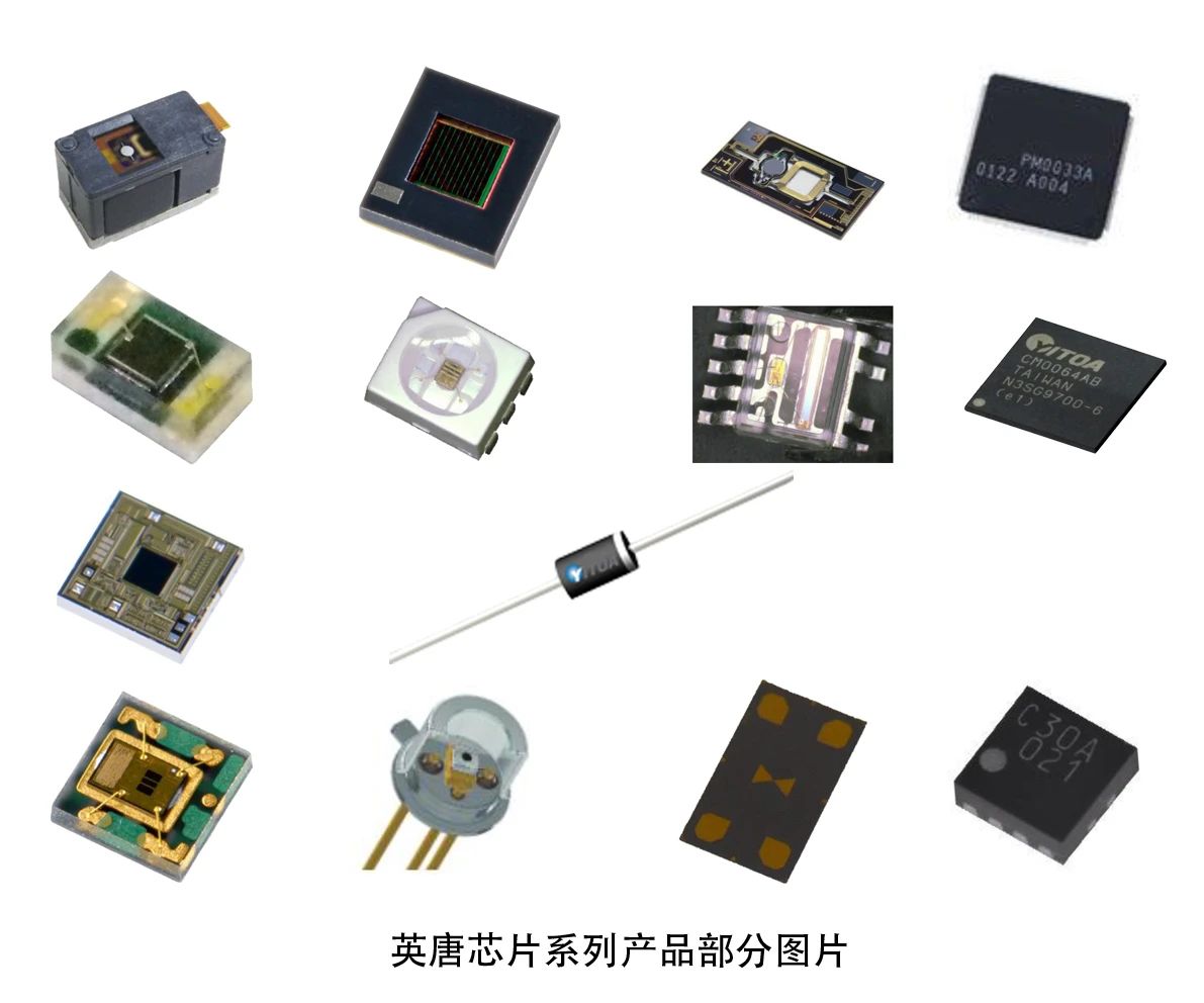 自有品牌面世 轉(zhuǎn)型穩(wěn)步向前